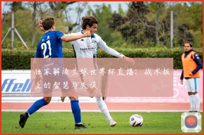 独家解读兰球世界杯直播：战术板上的智慧与失误