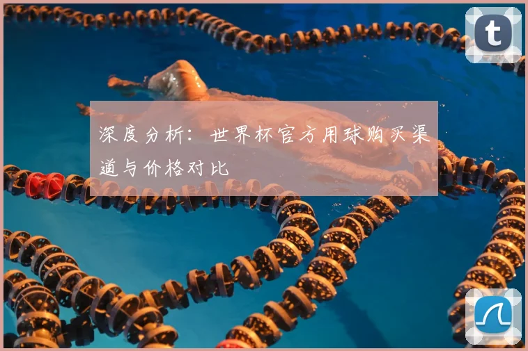 深度分析：世界杯官方用球购买渠道与价格对比