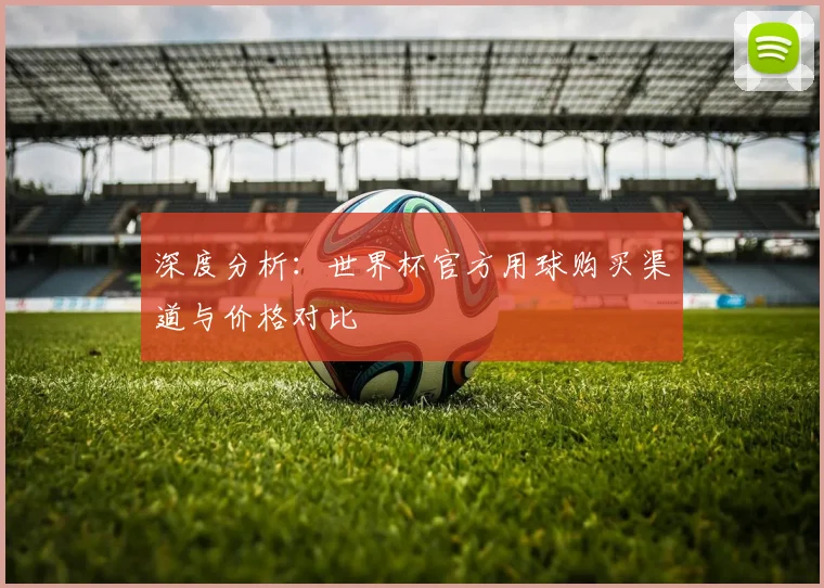 深度分析：世界杯官方用球购买渠道与价格对比